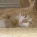     ,  -  15  2014     !