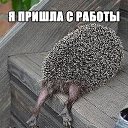 ���� �����, �������, 52 ���� - ��������� 9 ���� 2014 � ������ ������ ��������