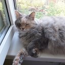 ������� �� ������� ����� 2014�