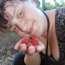 ��������, ���������������, 38 ���