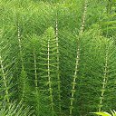  , --, 52  -  18  2014     2014