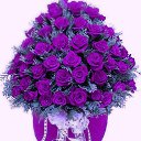 ���� Irina, ������ - ��������� 8 ��� 2014 � ������ ������