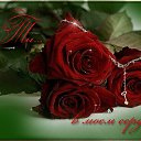 ���� ������, ������, 54 ���� - ��������� 30 ����� 2014 � ������ �������