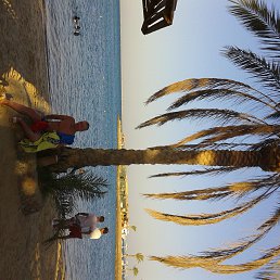 ���� �����, �����-���������, 40 ��� - ��������� 17 ������� 2014