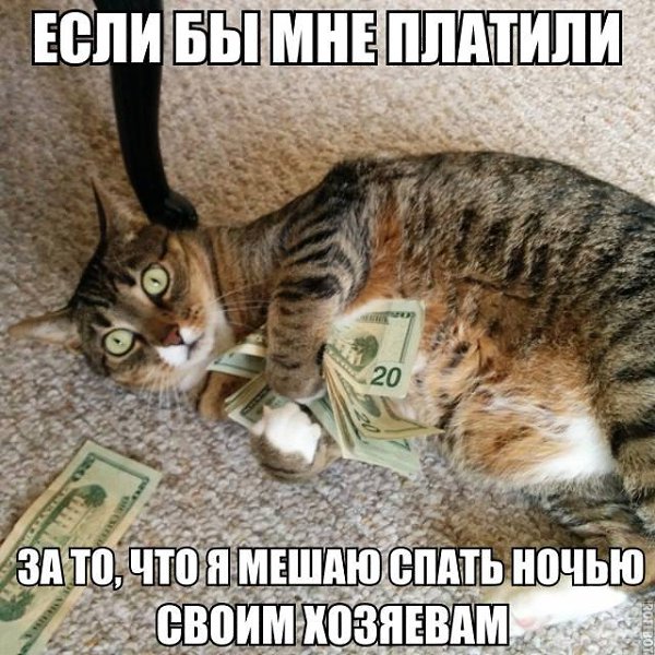     ! =))) fotostrana.ru/public/233738