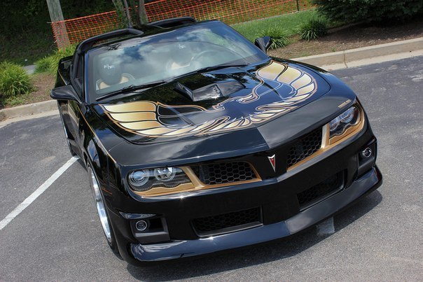 Hurst Trans Am - 3