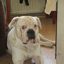 ���� �������, �����-���������, 43 ���� - ��������� 17 ������ 2014 � ������ ������ ��������