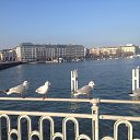 ���� Seagul, ������, 56 ��� - ��������� 9 ���� 2014 � ������ ���� ����������