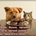���� �����, �����, 69 ��� - ��������� 1 ������ 2014 � ������ ������ ��������