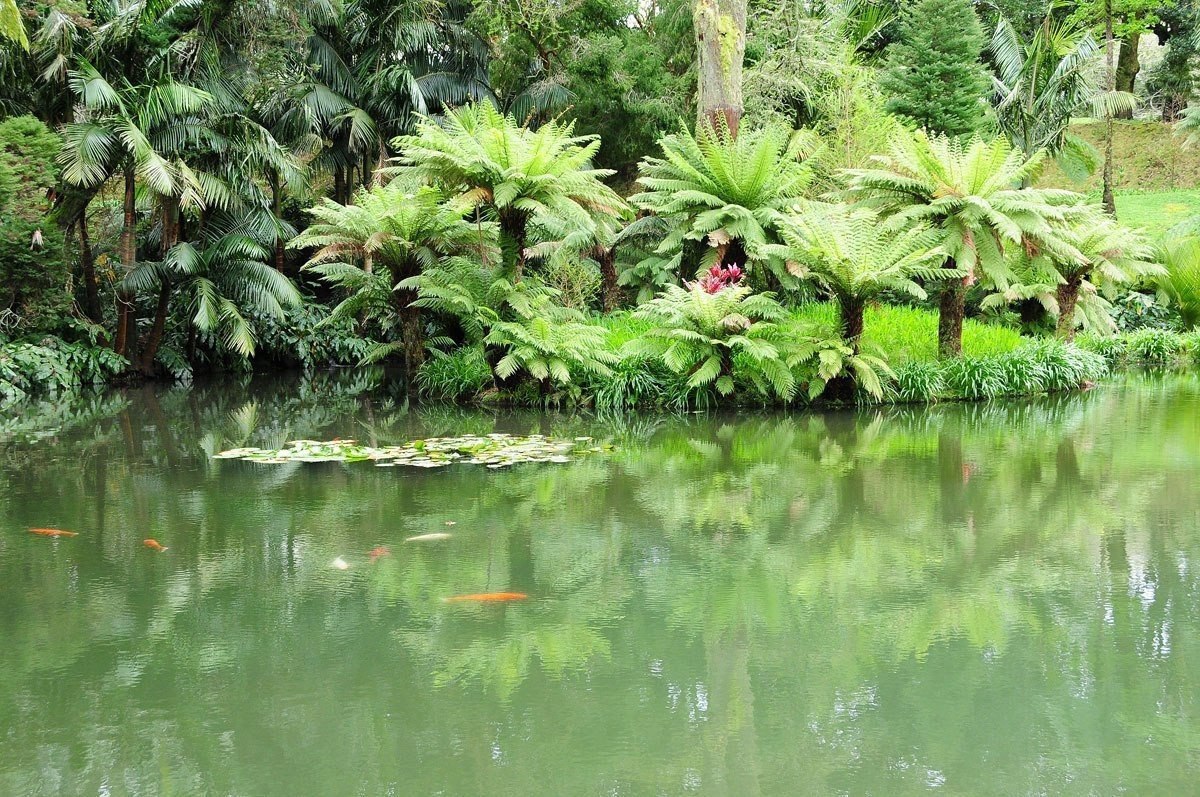    , . #@travel.blog - 6