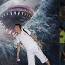  Vladimir,  -  2  2014   , 2014.