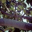 ���� ����, ����, 40 ��� - ��������� 14 ������ 2014 � ������ ��� �����������