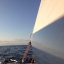���� ����������, ���������, 49 ��� - ��������� 14 ��� 2014 � ������ ������ ��������