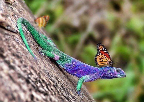 ������ ����.