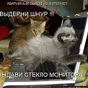 ���� ����, ������ - ��������� 10 ������ 2014 � ������ ���� ����������