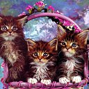 ���� ��������, ������, 46 ��� - ��������� 5 ������ 2014