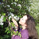 ���� �����, �������, 54 ���� - ��������� 6 ���� 2014 � ������ ������