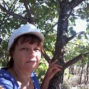 ���� ������, ��������, 69 ��� - ��������� 29 ���� 2014 � ������ ���� ����������