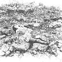 ���� �������, �����������, 53 ���� - ��������� 29 ���� 2014 � ������ ���� ����������