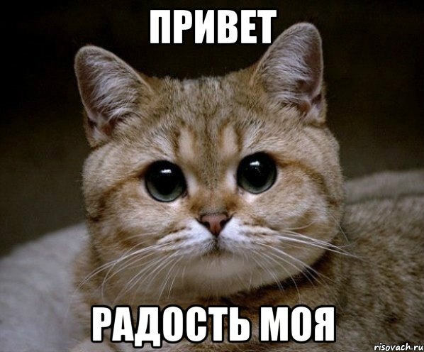    !   : https://fs-play.com/away?to=/sl/dgi4