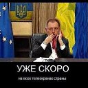 ���� ������, ���������, 43 ���� - ��������� 15 ��� 2014 � ������ ������ ��������