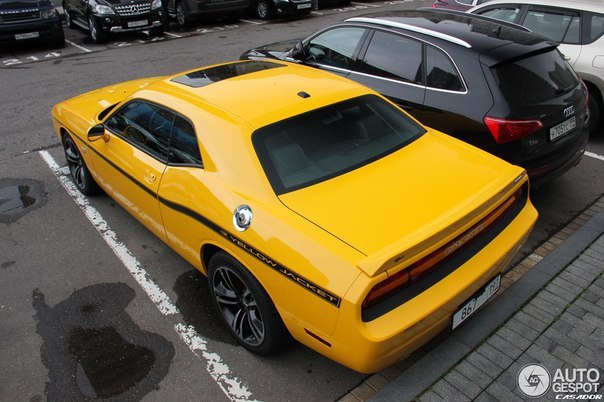 Dodge Challenger SRT8 392 Yellow Jacket - 6