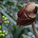 ���� ==Elena==, ������� - ��������� 18 ��� 2014 � ������ ���� ����������