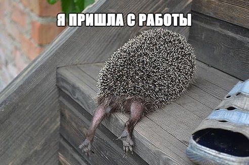 Бывают и такие дни...:))