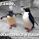 ���� �������, ������, 47 ��� - ��������� 4 ��� 2014 � ������ ������ ��������