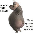 ���� �����, ������, 39 ��� - ��������� 2 ������ 2014 � ������ ������ ��������
