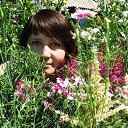 ���� �������, ����������, 50 ��� - ��������� 6 ���� 2014 � ������ ���� ����������