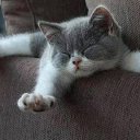 ���� ����, ������, 67 ��� - ��������� 20 ����� 2014 � ������ ������ ��������