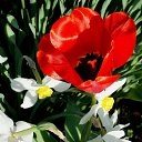 ���� �����, �����, 64 ���� - ��������� 4 ��� 2014 � ������ ������ � �����!�