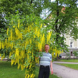  Sergey, , 64  -  2  2014