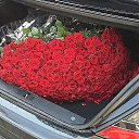 ���� �������, �����-���������, 62 ���� - ��������� 16 ������ 2014 � ������ ������ ��������