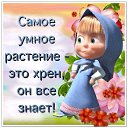 ���� �������, �����, 49 ��� - ��������� 30 ��� 2014 � ������ ���� ����������