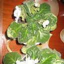 ���� �����, ������ �������� - ��������� 22 ����� 2014 � ������ �������