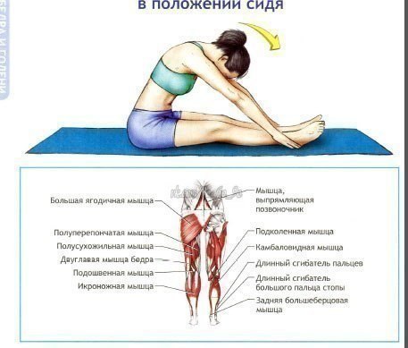 Упражнения на растяжку и гибкость. Забери на стену, чтобы не потерять: - 2