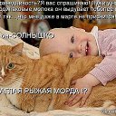 ���� �����, �����, 55 ��� - ��������� 31 ���� 2014 � ������ ������ ��������