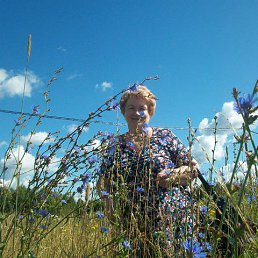 ������ � �������