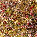 ���� �������, ������, 57 ��� - ��������� 8 ��� 2014 � ������ ���� ����������