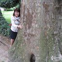 ���� �����, ������ �������� - ��������� 26 ����� 2014 � ������ ���� ����������