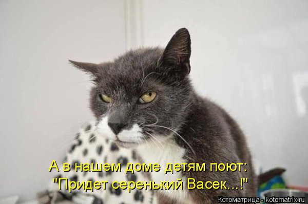 Баю, баюшки, баю, Две сардельки на краю. Придёт серенький Васёк И утащит в уголок. Их утащит в ...