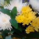 ���� ������, ���������, 45 ��� - ��������� 30 ��� 2014 � ������ ���� �������