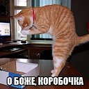 ���� Nataliya, �������, 52 ���� - ��������� 30 ��� 2014 � ������ ������ ��������