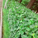 ���� �����, ������� - ��������� 23 ���� 2014 � ������ �23.06.2014�