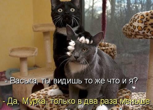  ( ) - 17  2014  19:07