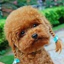 ���� �����, �����-��������� - ��������� 11 ������� 2014 � ������ ������ ��������