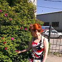 ���� ��������, ������������, 56 ��� - ��������� 5 ���� 2014 � ������ ���� ����������