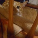 ���� Aror, �����-���������, 37 ��� - ��������� 12 ��� 2014 � ������ ���� ����������